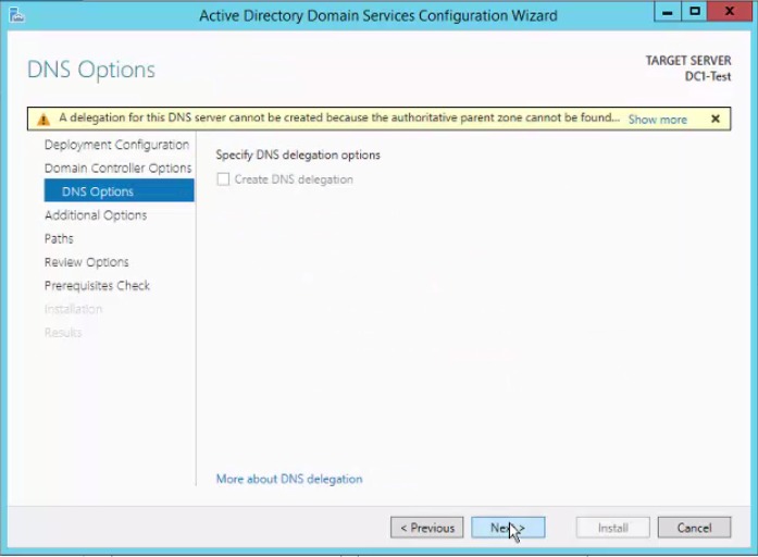 DNS options page showing the DNS delegation warning that can be ignored