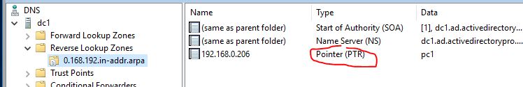 DNS console showing the new PTR record listed in the reverse lookup zone