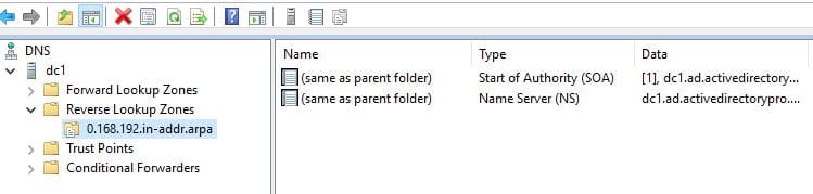 New reverse lookup zone opened showing only the SOA and NS records
