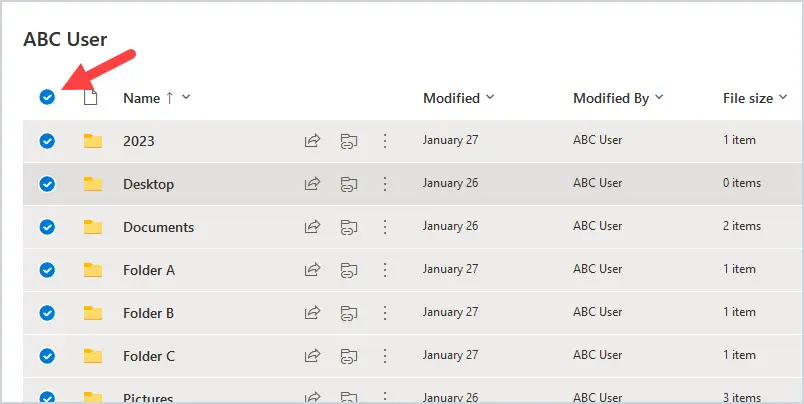 All files and folders selected using the circle beside the Name column