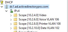 DHCP scopes segmented by VLAN for computers, printers, voice, and guest traffic