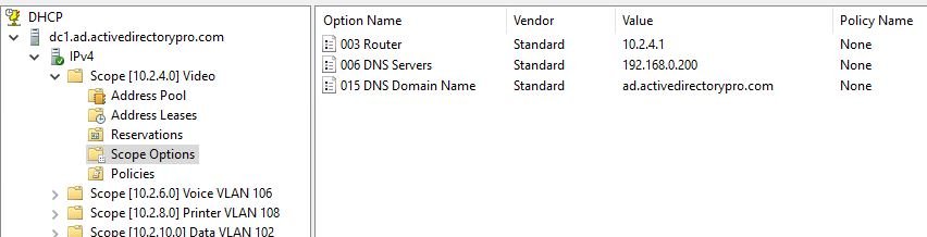 Scope options showing the router, DNS servers, and DNS domain name entries
