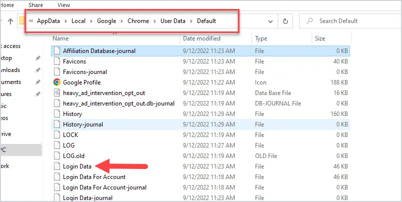 chrome login data file