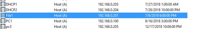 DNS zone showing a host A record for the file server