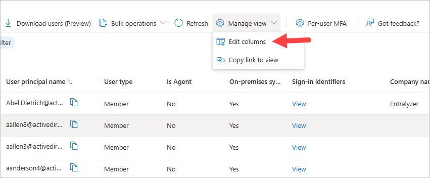 entra edit columns
