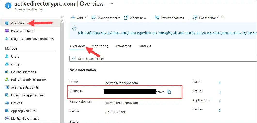 Overview tab displaying the tenant ID for the organization