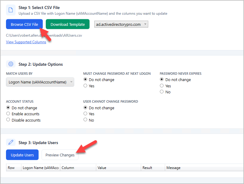 CSV file selected in the tool with the Preview Changes button
