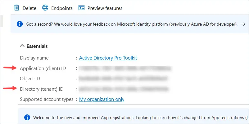 App registration overview page with the Application client ID and Directory tenant ID under Essentials