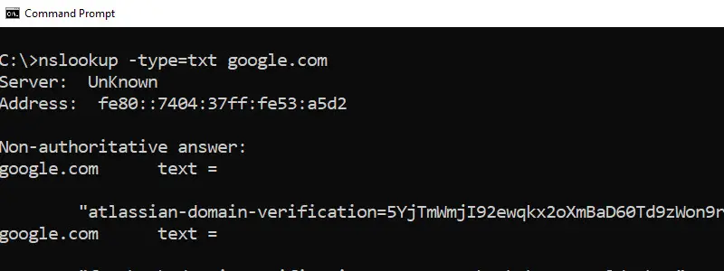 txt record lookup