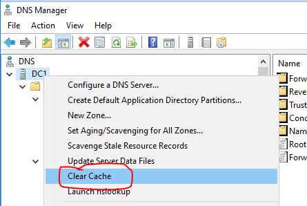 How to Clear Windows DNS Cache (Server & Workstations) - Active ...