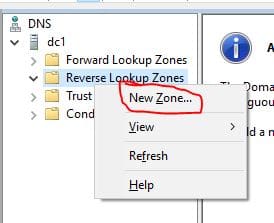 new reverse lookup zone