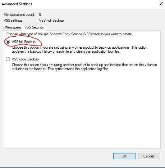 vss full backup