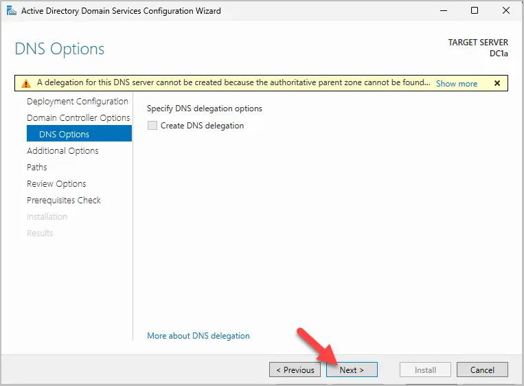 dns options